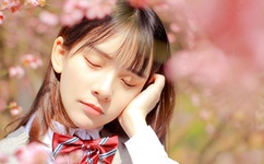 永久免费d站视频